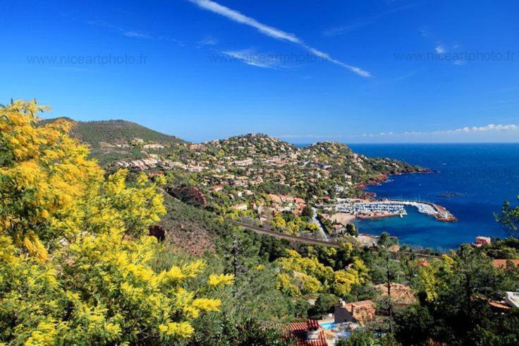 Studio 4P Vue Mer Calme Cap Esterel Saint-Raphaël エクステリア 写真