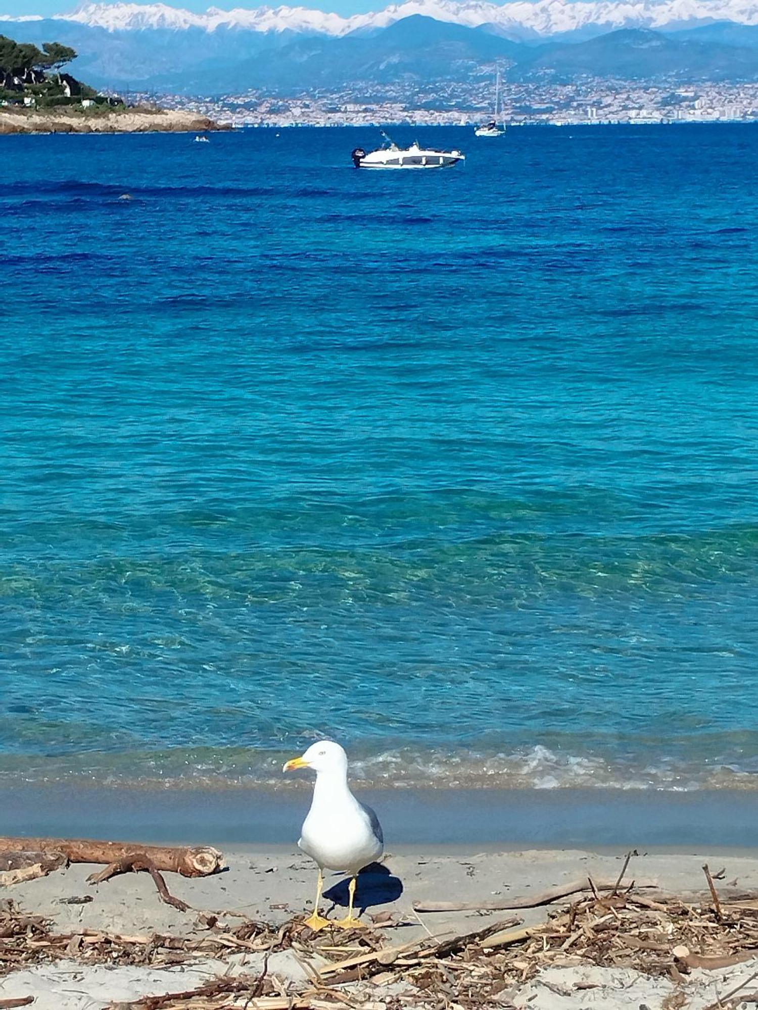 Studio 4P Vue Mer Calme Cap Esterel Saint-Raphaël エクステリア 写真